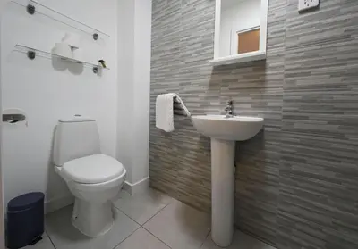a bathroom with a toilet and a sink at Springbank Apartment in Oban