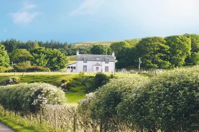 a white house on a hill with trees and bushes at Rural Farmhouse on Kintyre, West Coast hidden gem in Kildalloig