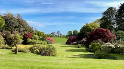 a lush green field with colorful bushes and trees at Garden Cottage in Stranraer
