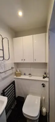 a small bathroom with a white toilet and a sink at Lowefield B&B in Plean