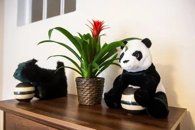 a panda bear sitting on a shelf next to a potted plant at charm & character on historic Rose Street in Edinburgh