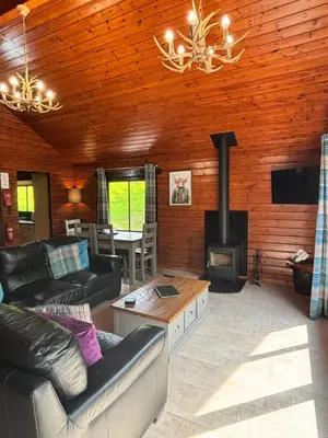 a living room with a couch and a fireplace at Lady Galloway 30 with Hot Tub in Newton Stewart