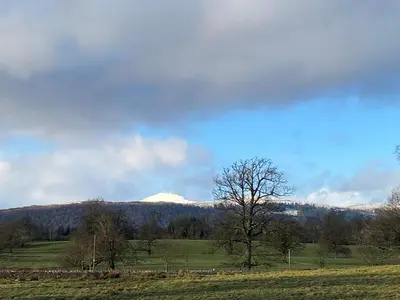 a tree in a field with a mountain in the background at Poachers Hut at Keepers Cottage - Hot Tub & Pizza Oven - Trossachs in Port of Menteith