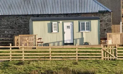 a green tiny house behind a wooden fence at North Muasdale Farm - Byre View in Muasdale