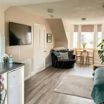 The Wee Pad - Uk42918