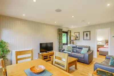 a living room with a couch a table and a television at Birch Lodge 21 with Hot Tub in Newton Stewart