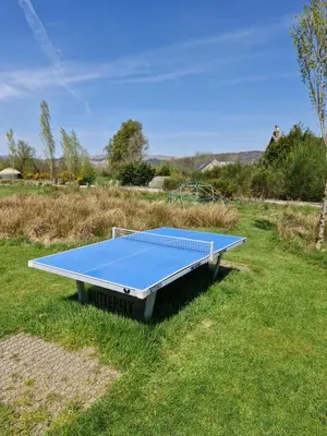 a blue ping pong table sitting in the grass at The Bothy in Stirling