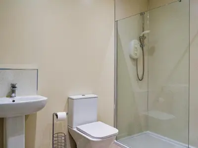 a bathroom with a shower and a toilet and a sink at Birch - Apartment in Aberfoyle