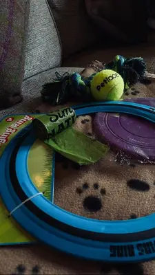 a paper plate with a toy on top of a table at Badger's Sett in Bathgate