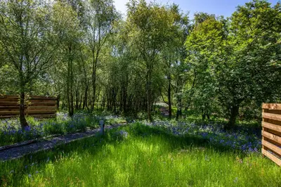 a field with blue flowers in a park at The Stag, Luxury pod with hot tub, Croft4glamping in Oban