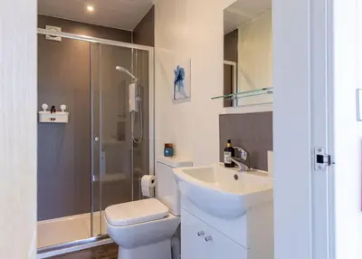a bathroom with a toilet and a sink and a shower at East Kip - Dog Friendly in Penicuik