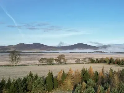 a field with trees and mountains in the background at Green Law - Dog Friendly in Penicuik