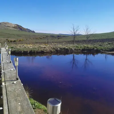 a body of water with a wooden dock in a field at Homeston Lodge in Drumlemble