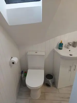 a small bathroom with a toilet and a sink at Black Cat Cottage in Moffat