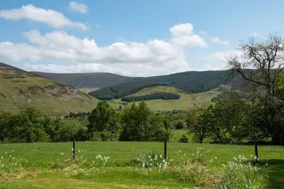 a field of green grass with mountains in the background at Mossfennan House in Drummelzier