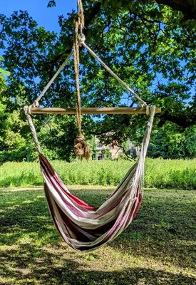 a hammock hanging from a tree in a park at Mid Cottage at Powis House Estate in Stirling