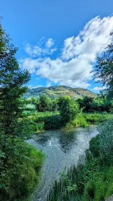 a river in the middle of a field with trees at Mid Cottage at Powis House Estate in Stirling